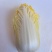 云南娃娃菜大娃娃菜蔬菜交通便利，品种、规格齐全欢迎电联