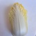 云南娃娃菜大娃娃菜蔬菜交通便利，品种、规格齐全欢迎电联