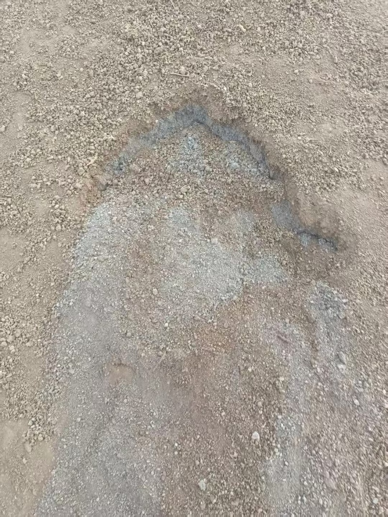 开封尉氏县产地直销肉鸡粪批发量大从优