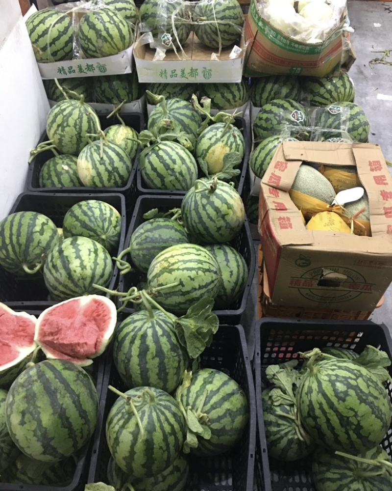 精品西瓜，安徽西瓜，大量上市产地直发，对接全国客户