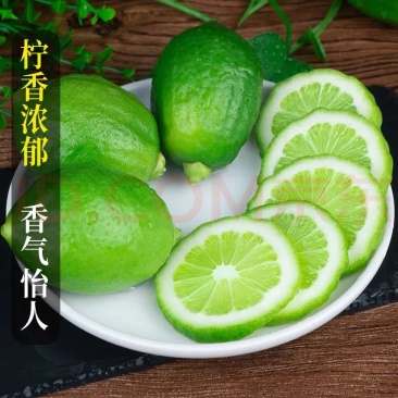承接各电商平台一件代发广东香水青柠檬一二级海南香水柠檬特惠