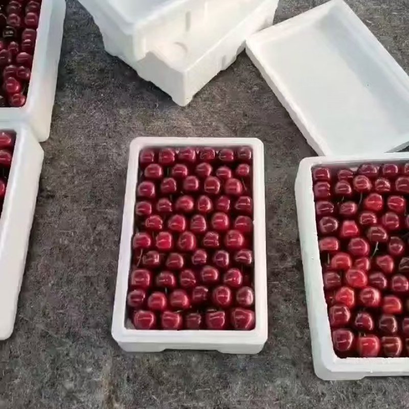 山东美早樱桃对接全国价格美丽质量好走货快欢迎询价热卖
