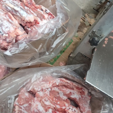 冻品母猪尾骨工厂直发批发价格可谈可切小骨块欢迎来电