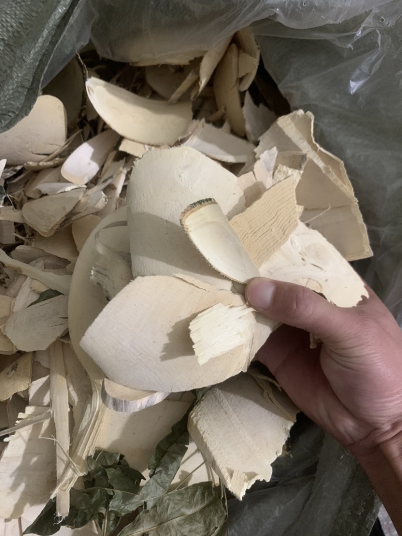 三叉苦正品带叶三丫苦中药材三叉苦枝叶三叉虎