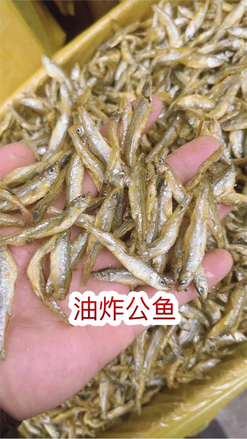 油炸公鱼地摊电商批发新疆油炸公鱼不咸不苦青海公鱼干
