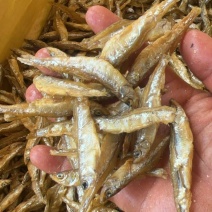油炸公鱼地摊电商批发不咸不苦新疆公鱼青海公鱼干