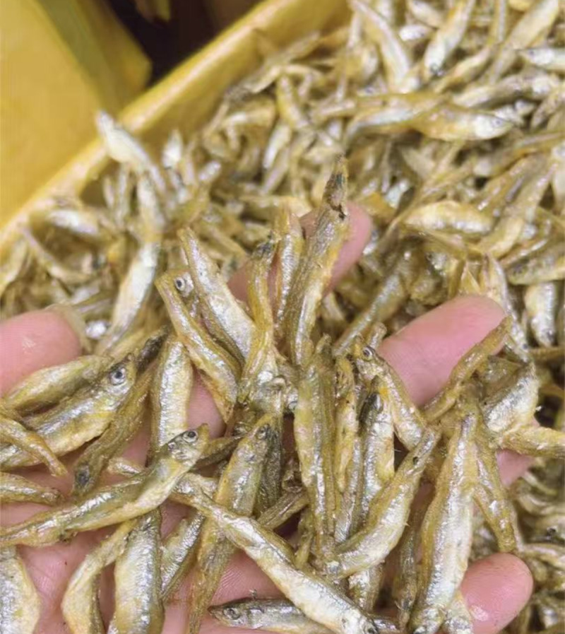 油炸公鱼地摊电商批发不咸不苦新疆公鱼青海公鱼干