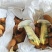 黄牛肝菌(人工见手青)