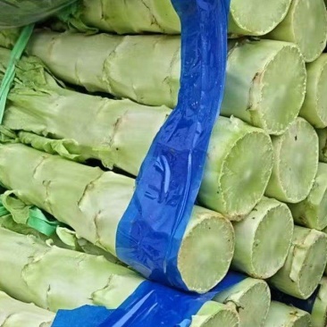 湖北当阳红叶莴笋，湖北精品红叶莴笋，专业原产地直发