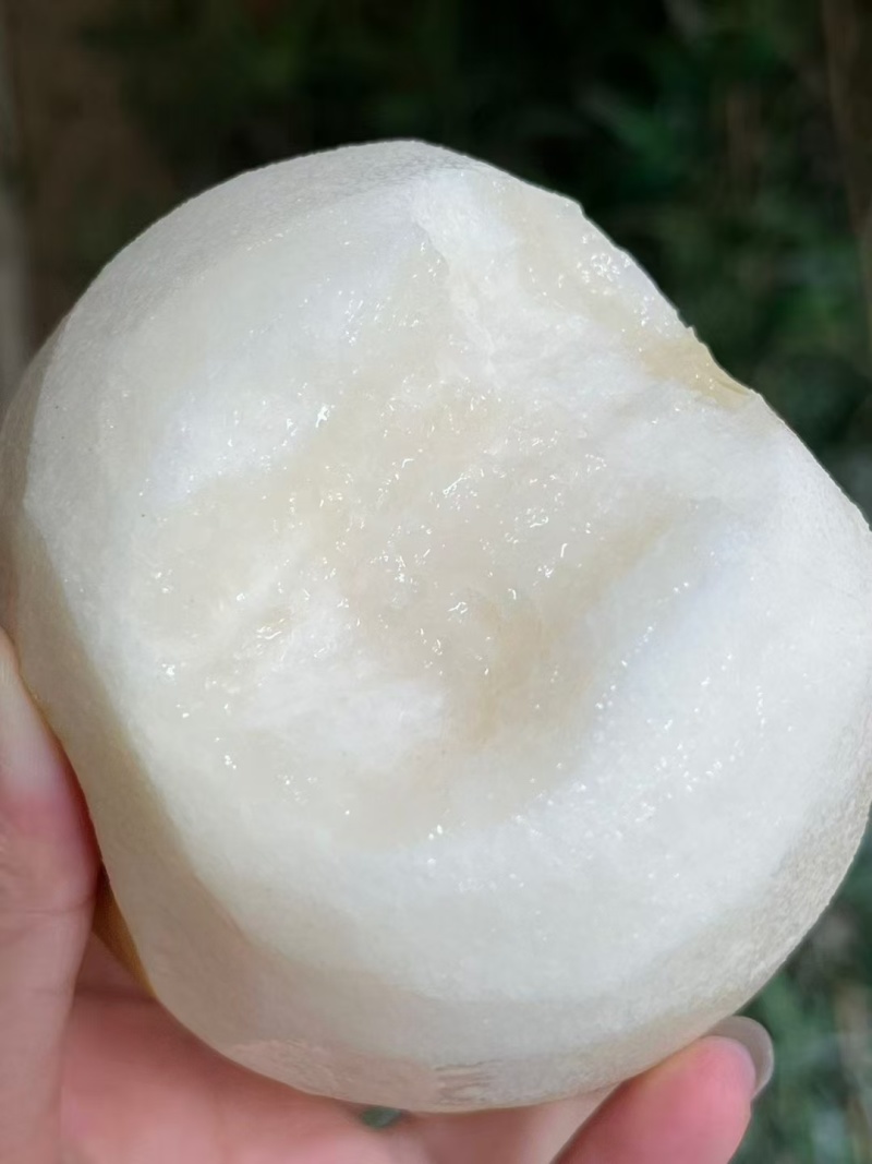 头茬秋月梨。无木栓病。皮薄甘甜水分足。货源充足，供商超批发。