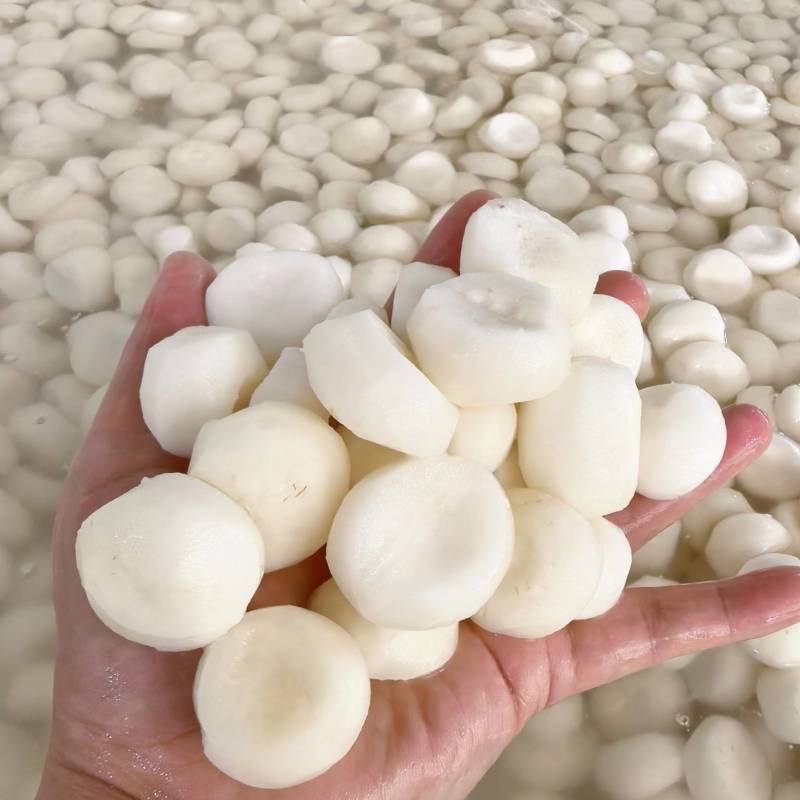 荸荠水果马蹄荔浦马蹄去皮马蹄批发