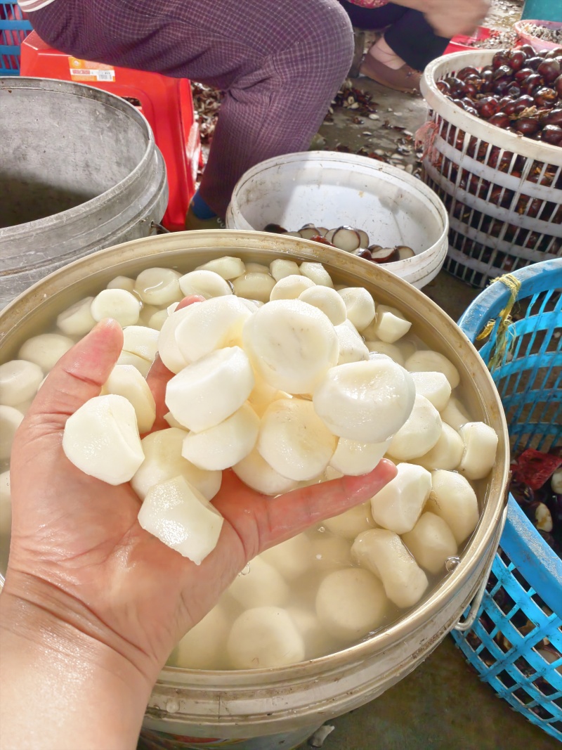 荸荠水果马蹄荔浦马蹄去皮马蹄批发