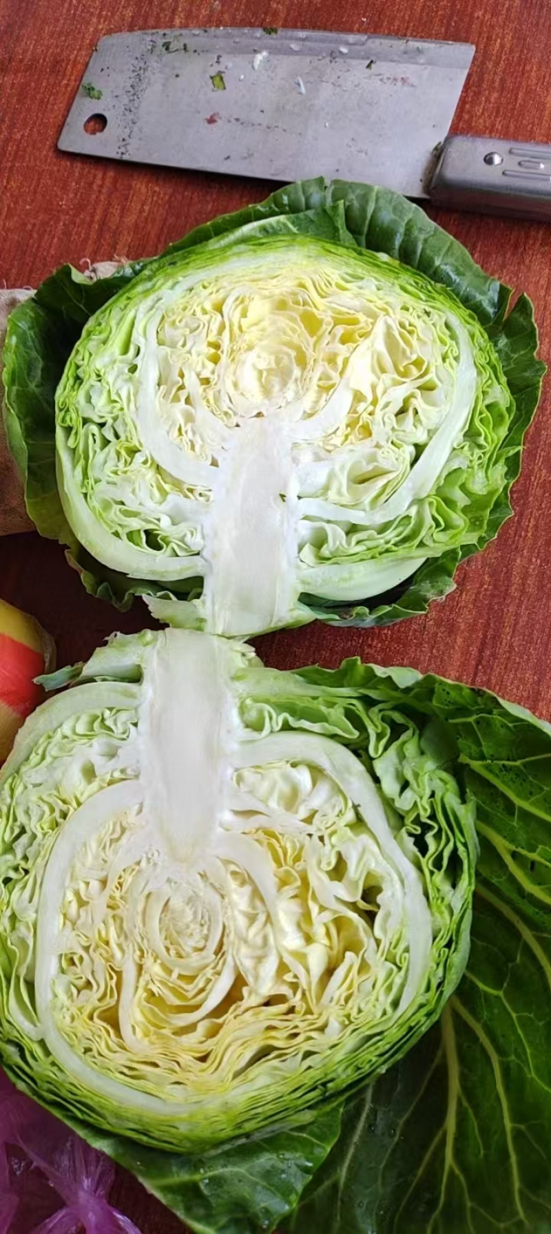 精品推荐，河南精品甘蓝圆包菜，质量保证，一手货源