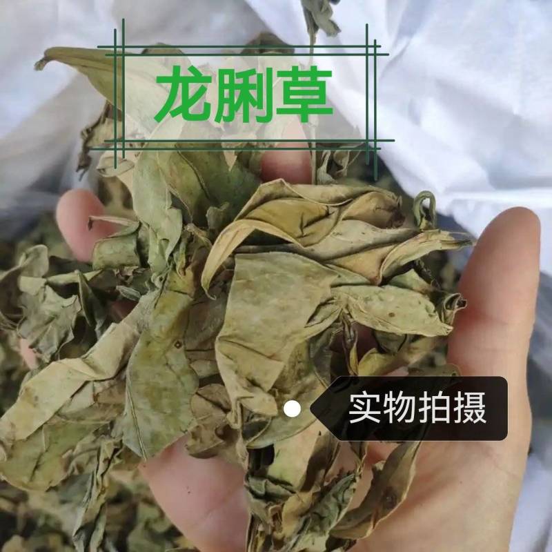 龙利叶高品质龙利草中药材道地无硫干货龙脷叶正宗农家