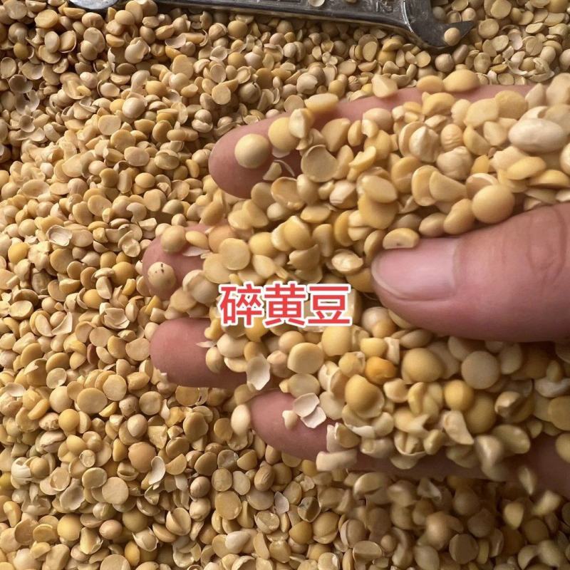 厂家直销碎黄豆可做养殖饲料豆，上地施肥豆。