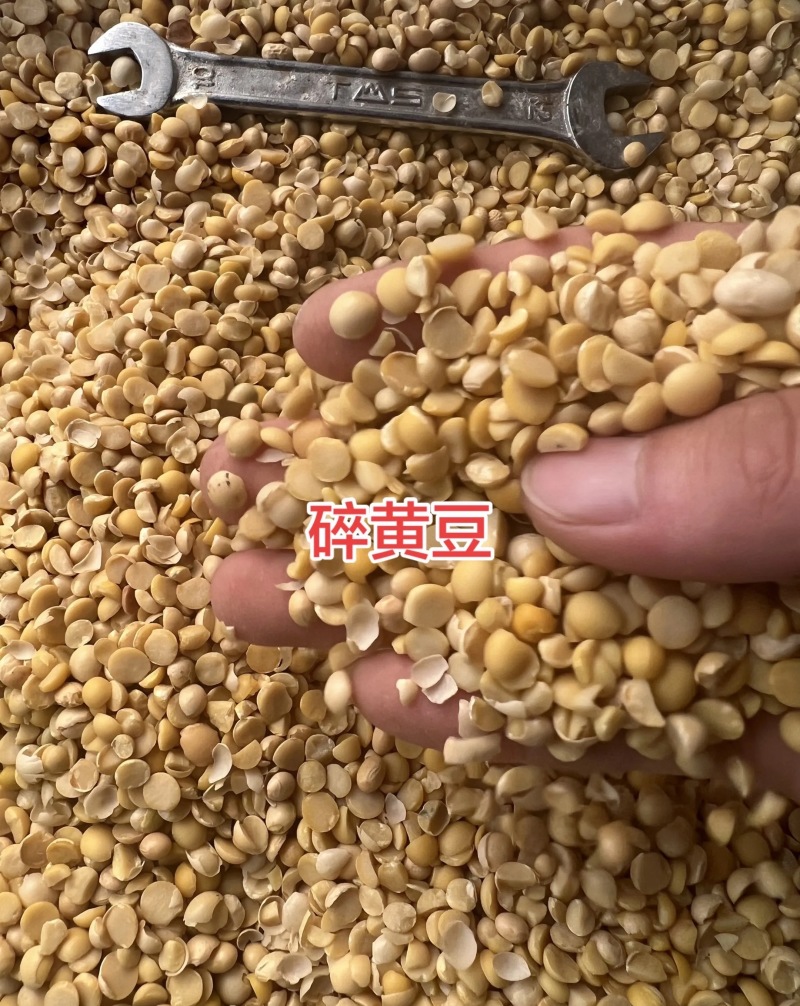 厂家直销碎黄豆可做养殖饲料豆，上地施肥豆。