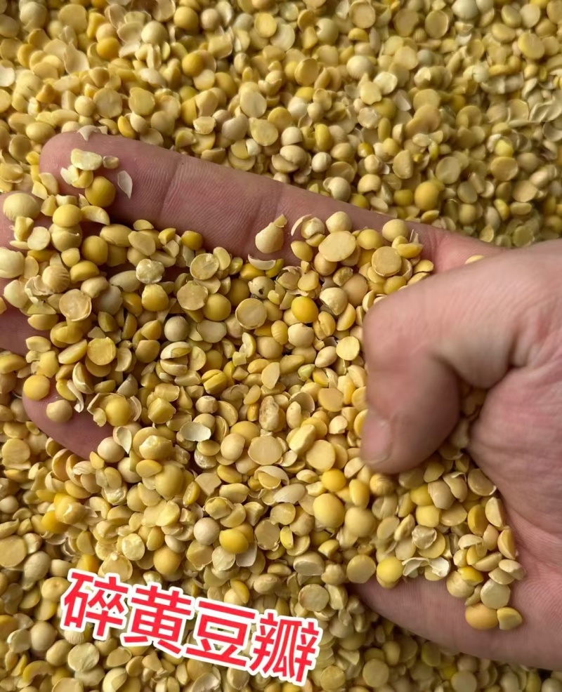 厂家直销碎黄豆可做养殖饲料豆，上地施肥豆。