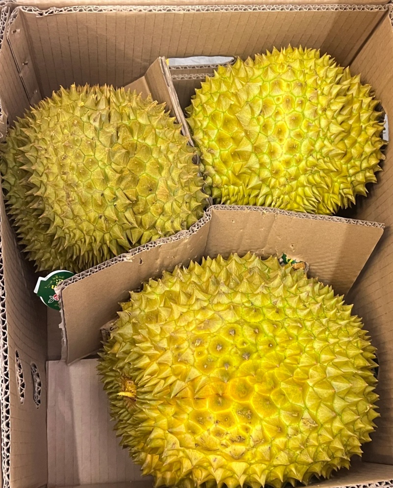 金枕榴莲一手批发价格，a果保5房，坏果包赔。