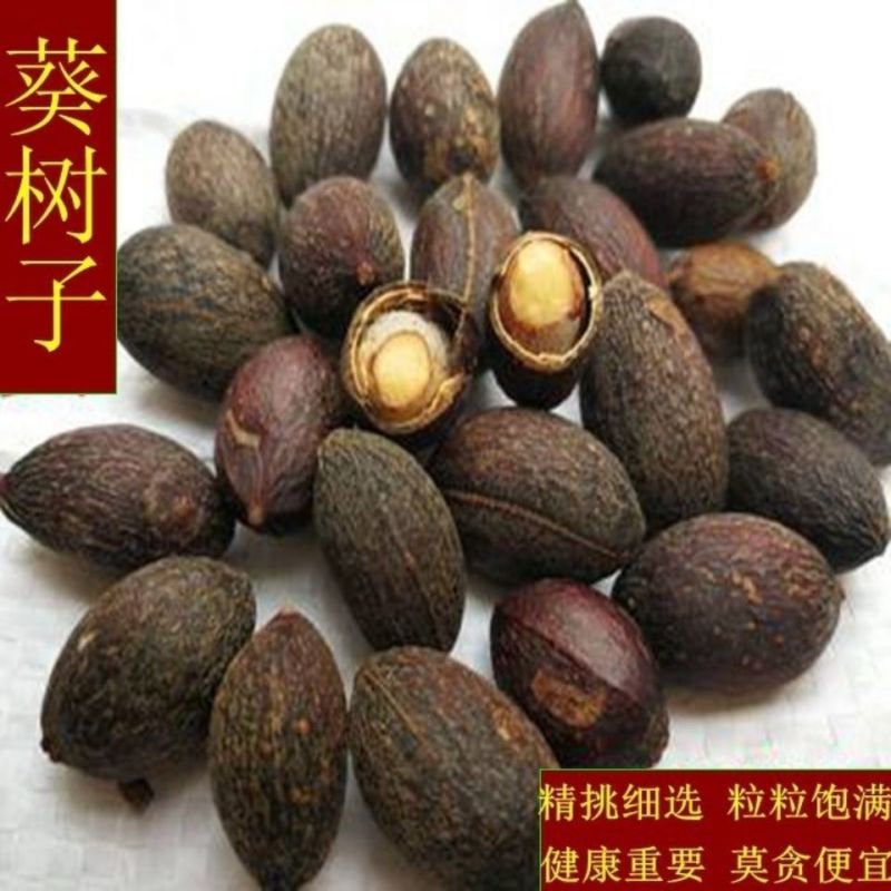 蒲葵子葵树子中药材正品葵树子无硫足干无杂质无空壳