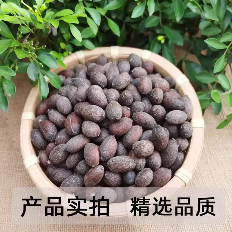 蒲葵子葵树子中药材正品葵树子无硫足干无杂质无空壳