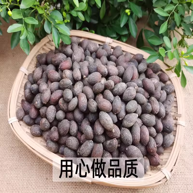 蒲葵子葵树子中药材正品葵树子无硫足干无杂质无空壳
