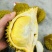 金枕榴莲一手批发价格，a果保5房，坏果包赔。