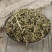 透骨草中药材珍珠透骨草凤仙透骨草干净无杂新鲜草药批发零售