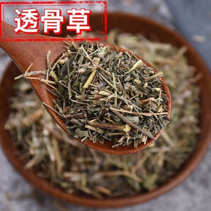 透骨草中药材珍珠透骨草凤仙透骨草干净无杂新鲜草药批发零售