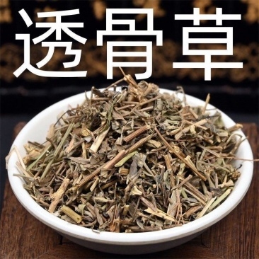 透骨草中药材珍珠透骨草凤仙透骨草干净无杂新鲜草药批发零售
