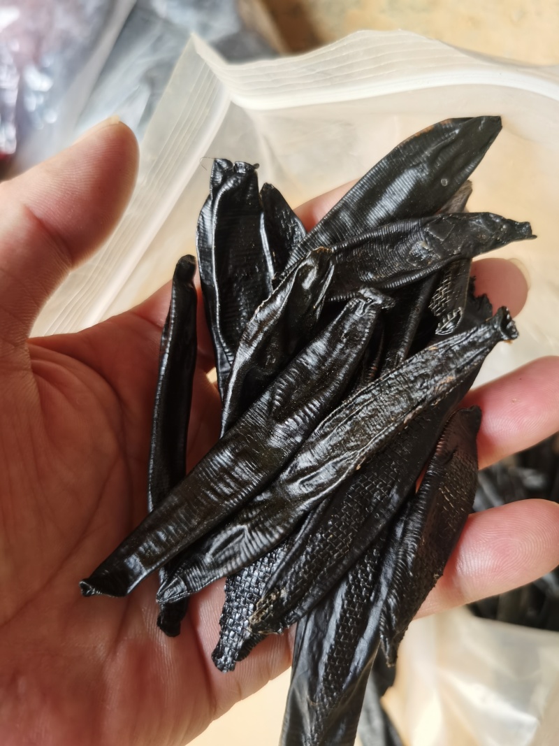 精品纯手工自然风干菲牛蛭干品精品