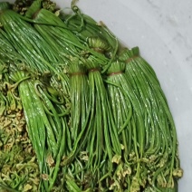 贵州野生蕨菜