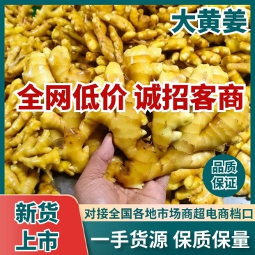 山东大黄姜(水洗姜/风干姜)供市场~出口~电商/全国发货
