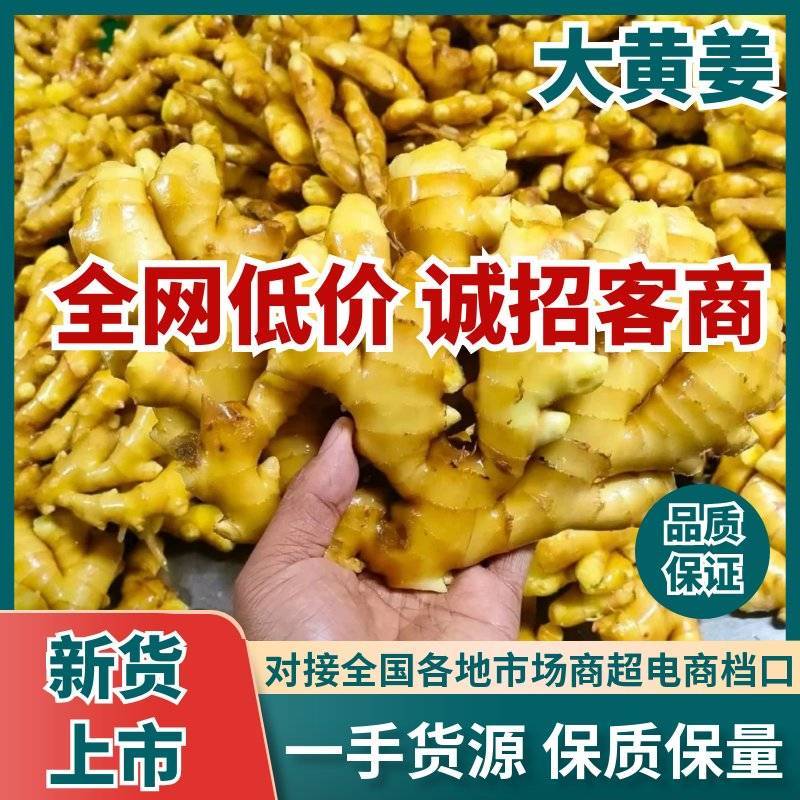 山东大黄姜（水洗姜/风干姜）供市场～出口～电商/全国发货
