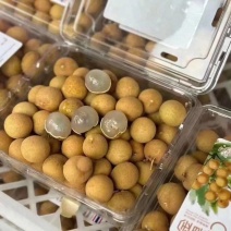 新鲜龙眼电商一件发货全平台24小时内揽收发货包时效