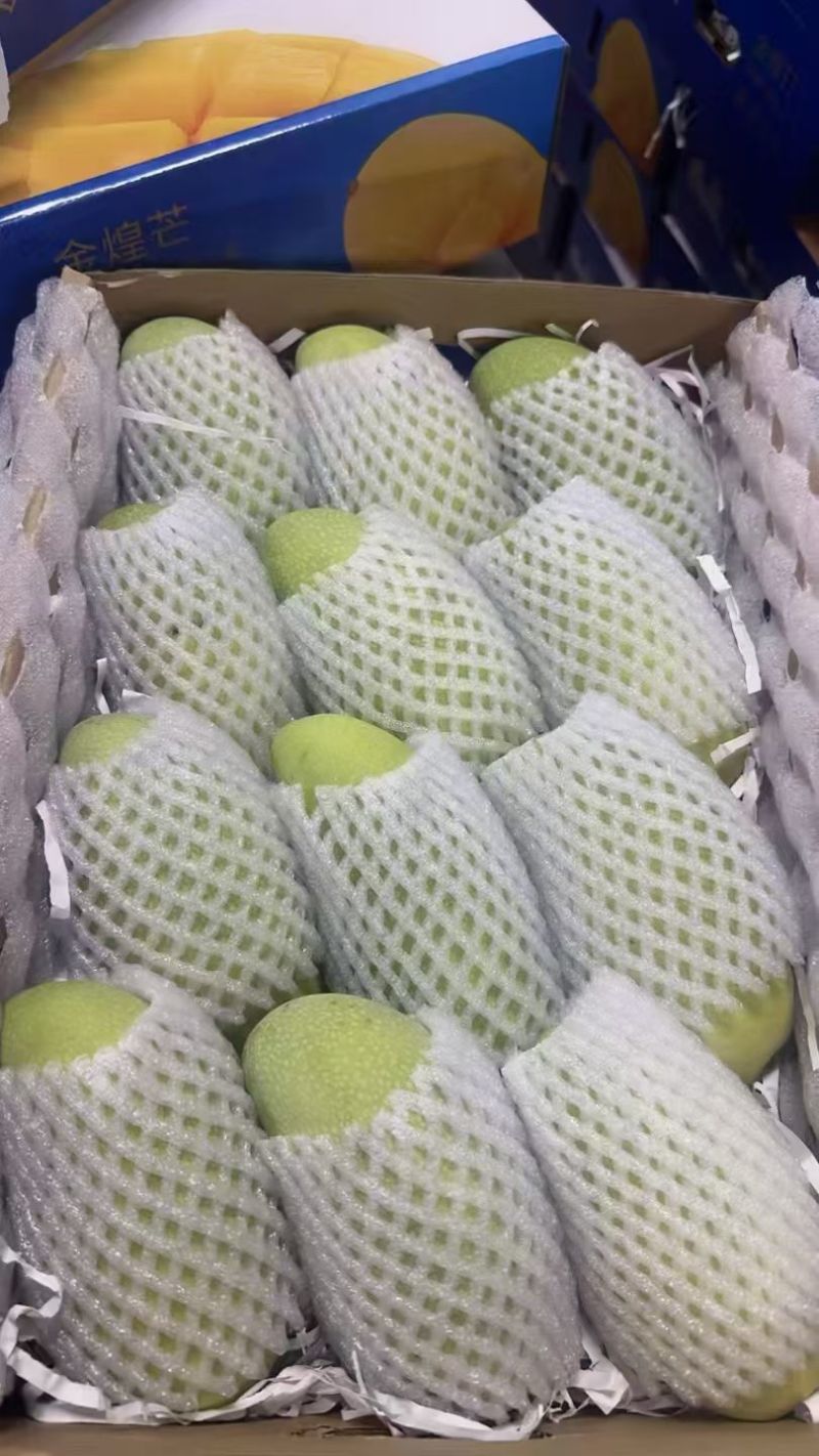 1.现摘金黄芒果，新鲜直达