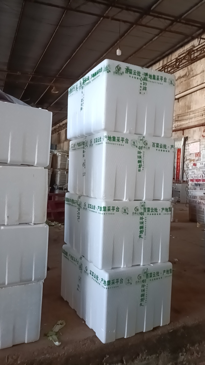 新鲜（留兰香）薄荷叶