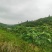 湖南衡阳三千亩山地出租流转