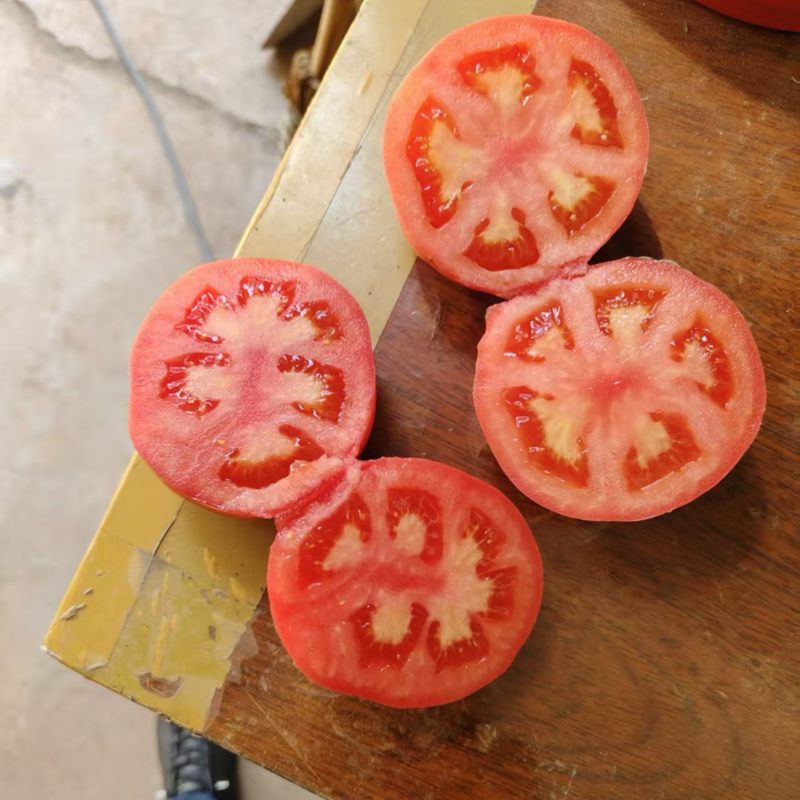 番茄🍅