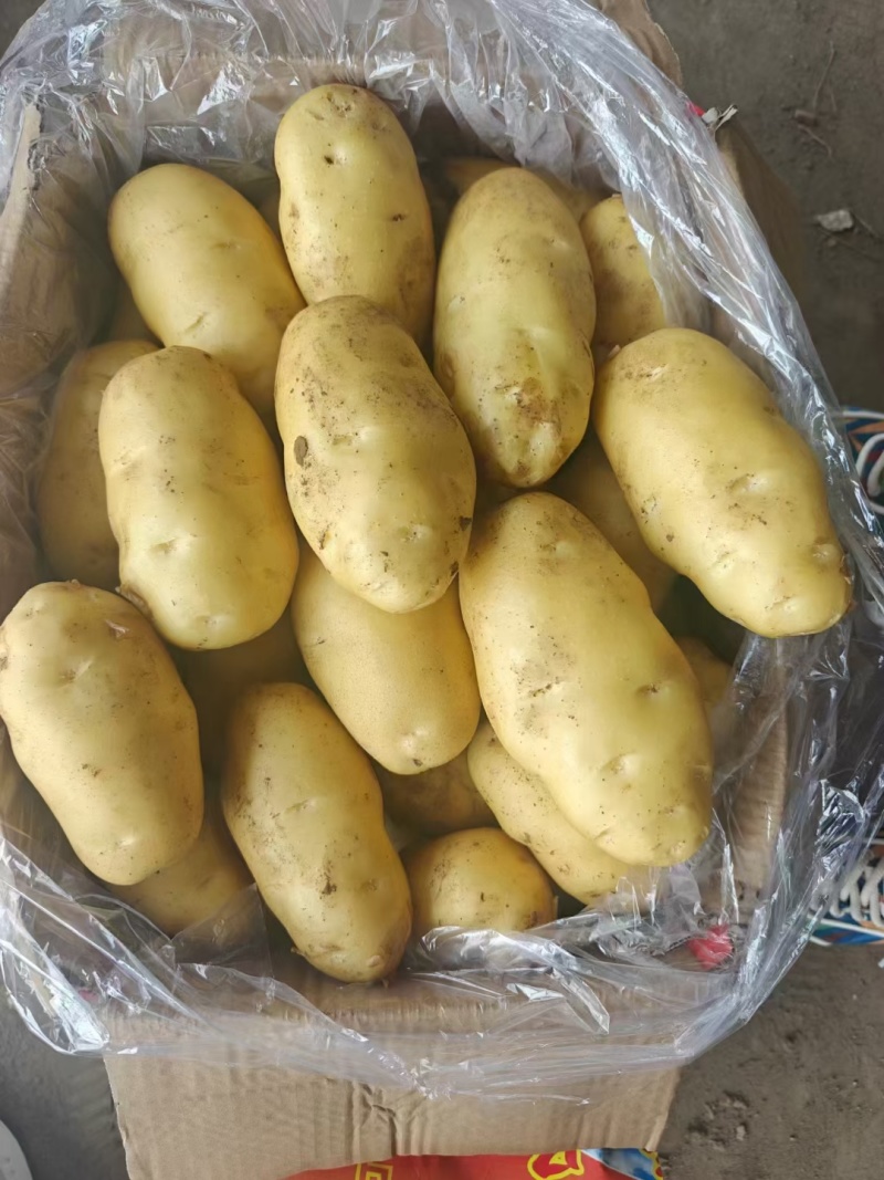 三优精品土豆