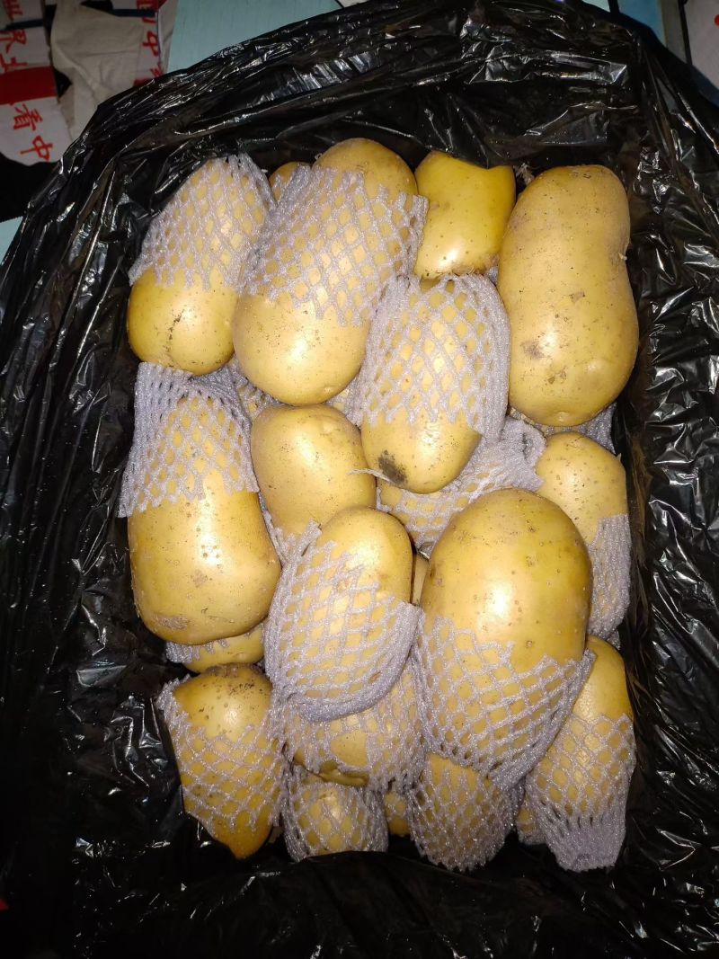 三优精品土豆