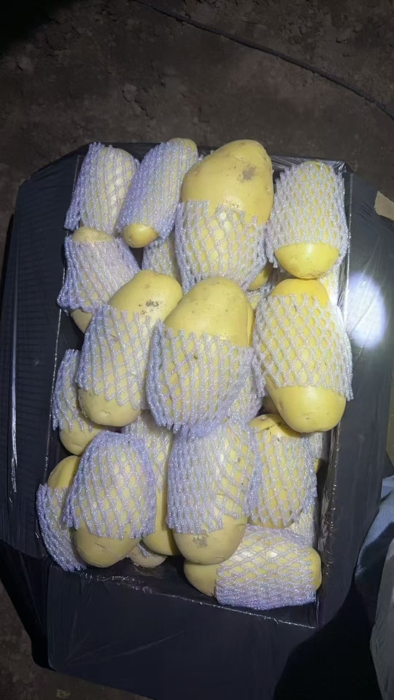三优精品土豆
