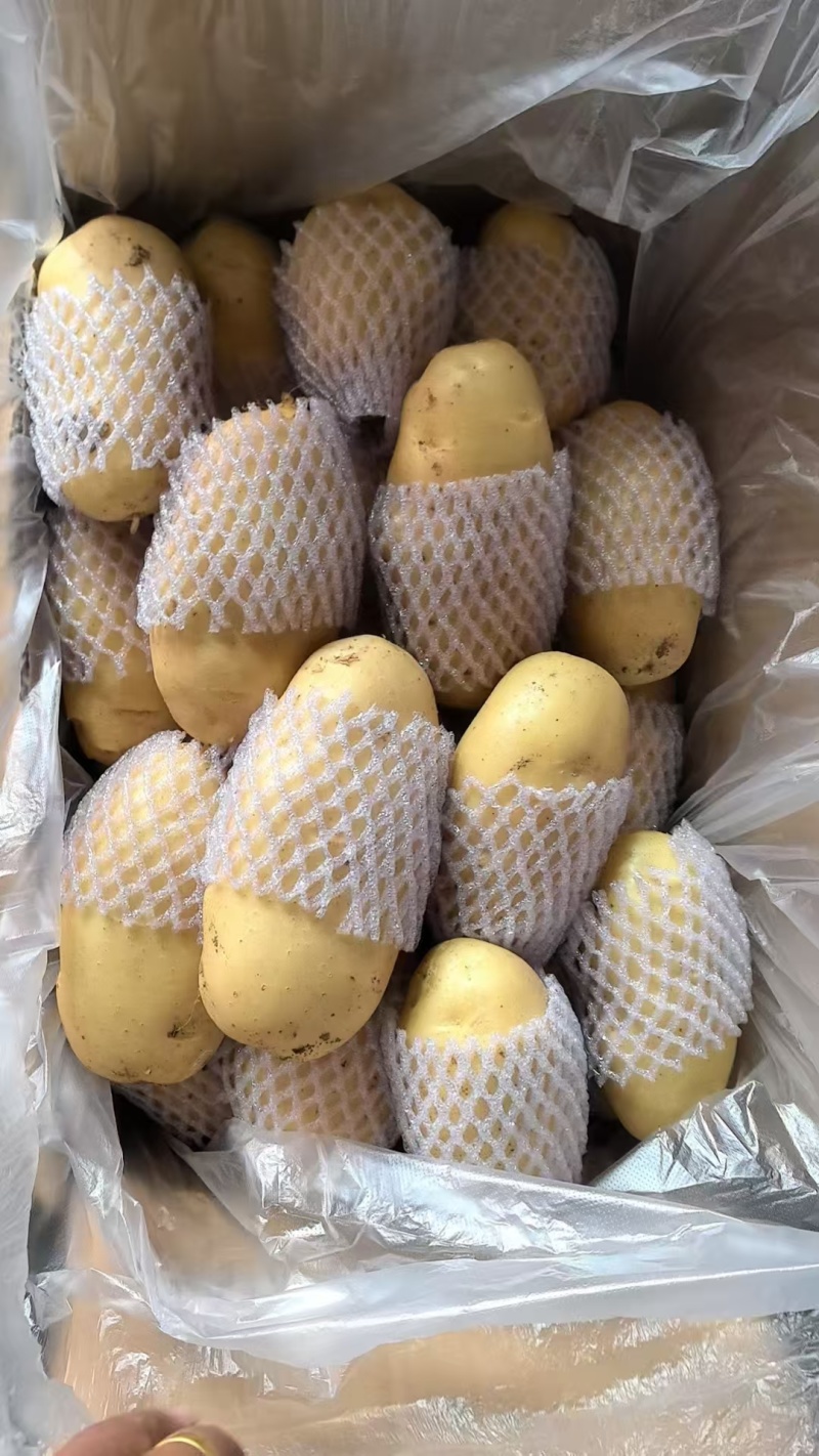 三优精品土豆