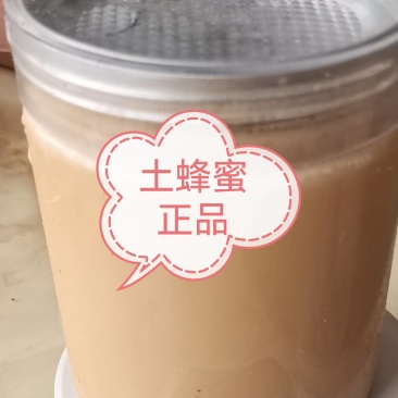 深山中华土蜂蜜，只采山间百花质量纯正入口绵润，甜而不腻。
