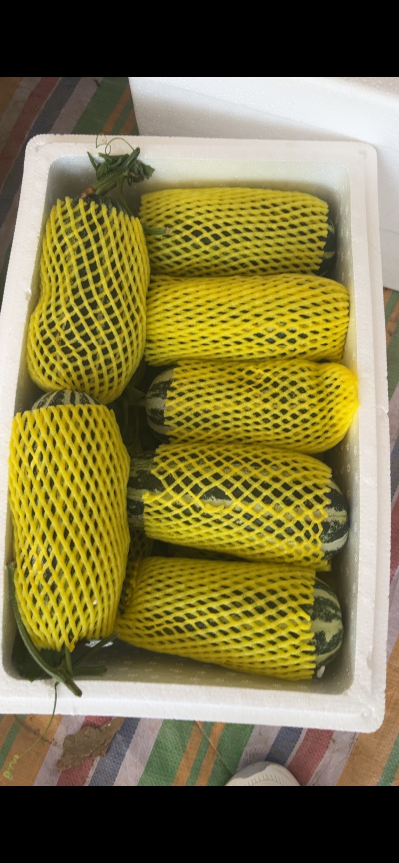 精品博洋9号，对接电商市场，全国代发保证品质