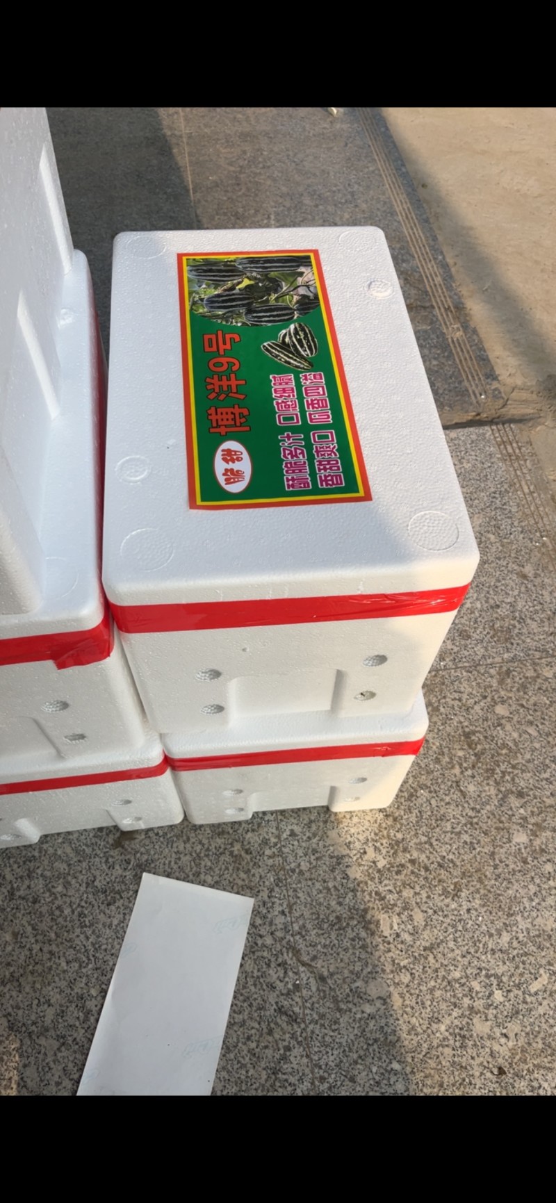 精品博洋9号，对接电商市场，全国代发保证品质