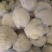 松花菜开封通许有机花菜源头基地对接全国市场电商