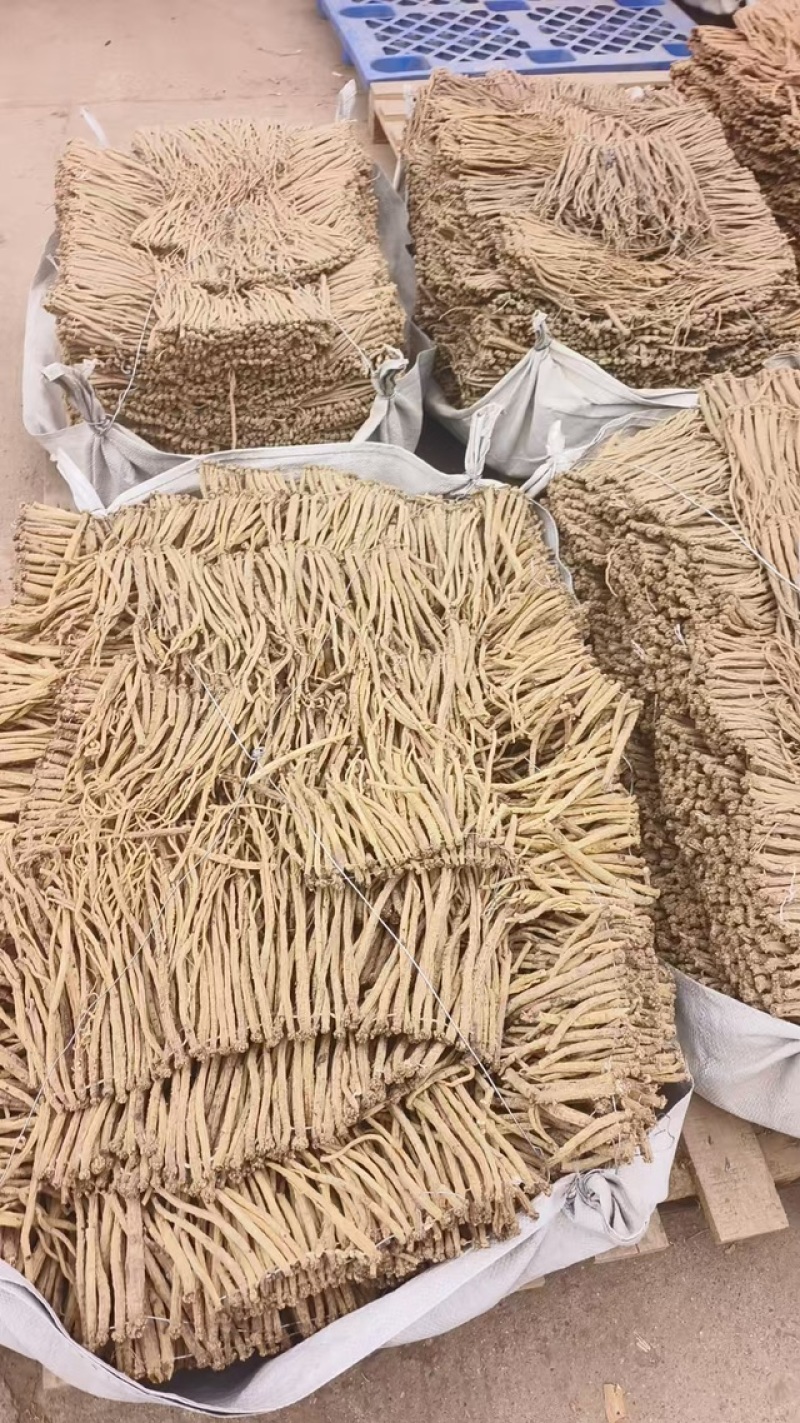 甘肃省定西市白条党参，多种规格录制现场采购代办价格批发低
