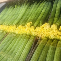 鲜花丝瓜