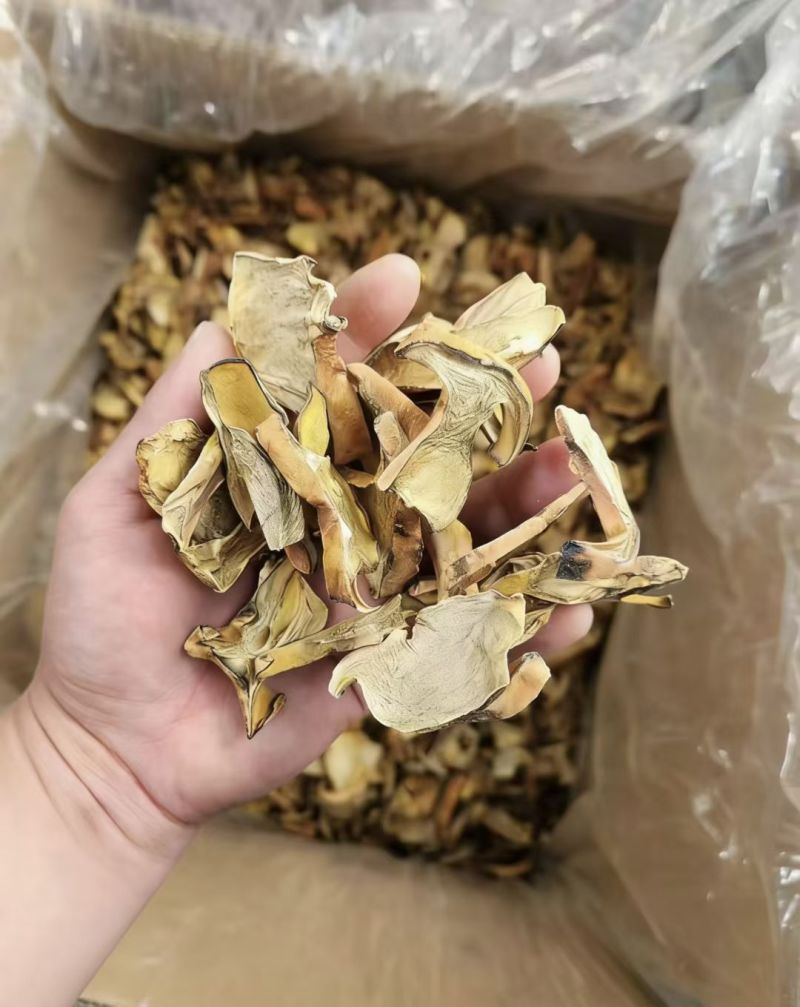 人工见手青黄牛肝菌通货切片烘干干片干品