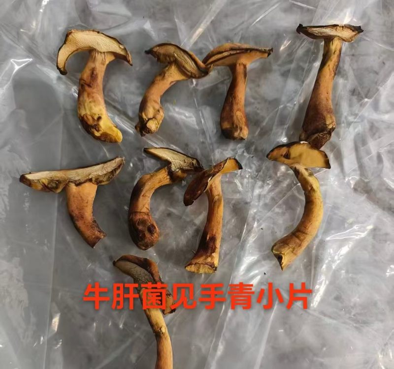 人工见手青黄牛肝菌通货切片烘干干片干品